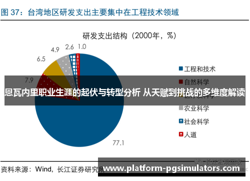 恩瓦内里职业生涯的起伏与转型分析 从天赋到挑战的多维度解读