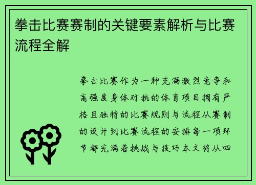 拳击比赛赛制的关键要素解析与比赛流程全解