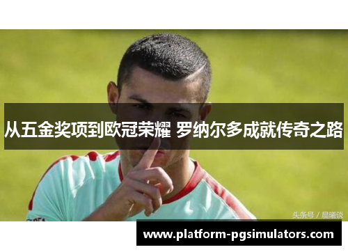 从五金奖项到欧冠荣耀 罗纳尔多成就传奇之路