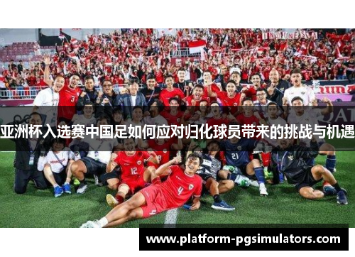 亚洲杯入选赛中国足如何应对归化球员带来的挑战与机遇