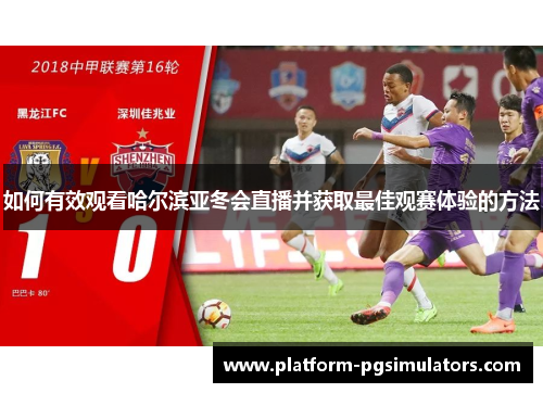 如何有效观看哈尔滨亚冬会直播并获取最佳观赛体验的方法