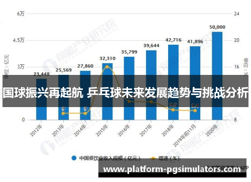 国球振兴再起航 乒乓球未来发展趋势与挑战分析