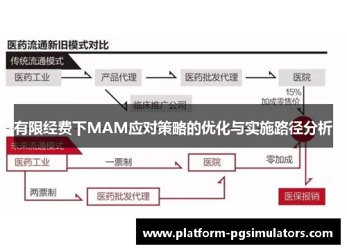 有限经费下MAM应对策略的优化与实施路径分析