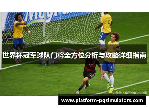 世界杯冠军球队门将全方位分析与攻略详细指南