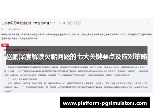 赵鹏深度解读欠薪问题的七大关键要点及应对策略