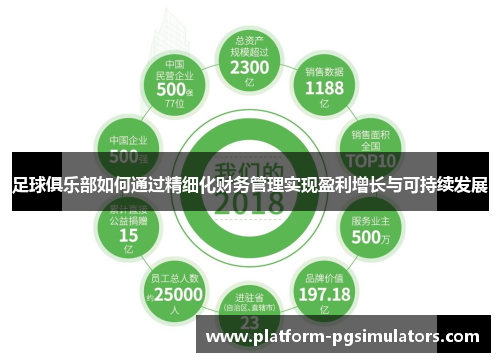 足球俱乐部如何通过精细化财务管理实现盈利增长与可持续发展