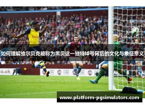 如何理解维尔贝克被称为黑贝这一独特绰号背后的文化与象征意义