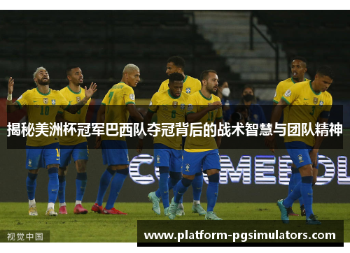揭秘美洲杯冠军巴西队夺冠背后的战术智慧与团队精神