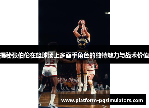 揭秘张伯伦在篮球场上多面手角色的独特魅力与战术价值
