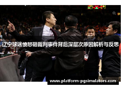 辽宁球迷愤怒砸裁判事件背后深层次原因解析与反思