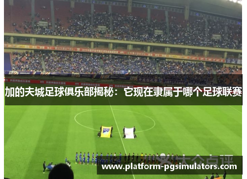 加的夫城足球俱乐部揭秘：它现在隶属于哪个足球联赛