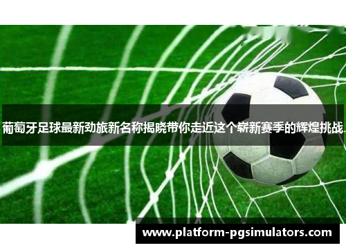 葡萄牙足球最新劲旅新名称揭晓带你走近这个崭新赛季的辉煌挑战 葡萄牙足球最新劲旅新名称揭晓带你走近这个崭新赛季的辉煌挑战