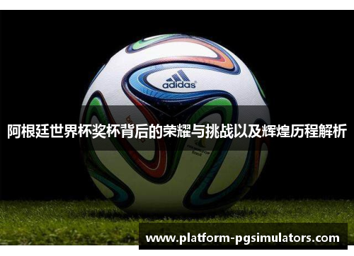 阿根廷世界杯奖杯背后的荣耀与挑战以及辉煌历程解析