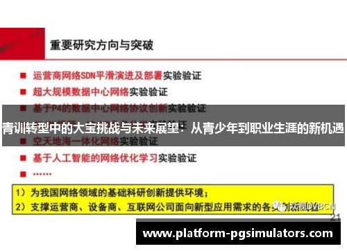 青训转型中的大宝挑战与未来展望：从青少年到职业生涯的新机遇