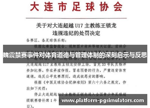 魏震禁赛事件对体育道德与管理体制的深刻启示与反思