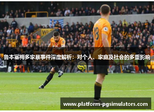 鲁本塞梅多家暴事件深度解析：对个人、家庭及社会的多重影响