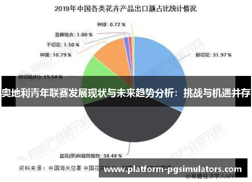 奥地利青年联赛发展现状与未来趋势分析：挑战与机遇并存