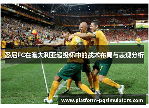 悉尼FC在澳大利亚超级杯中的战术布局与表现分析