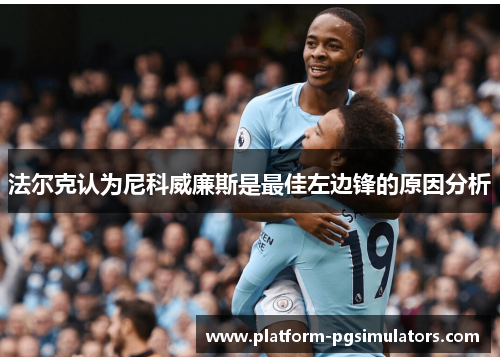 法尔克认为尼科威廉斯是最佳左边锋的原因分析